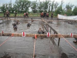 942932_524239290966365_463306631_n