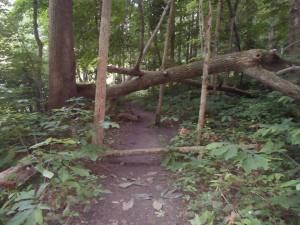 1012635_533109310075789_1930701330_n