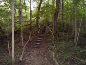 934992_533109176742469_1861973532_n