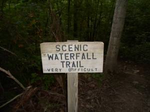 943318_533109236742463_433735557_n