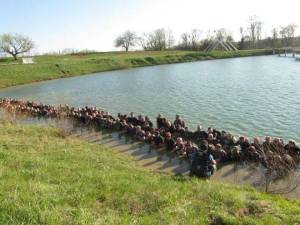 10322716_307941786023236_2956709763667809481_n