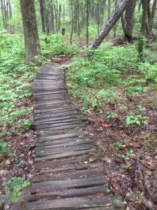 10151744_10152365401291358_5793445081867621406_n