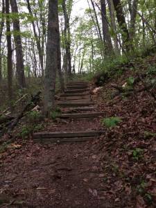 10173557_10152365400856358_4887450433614836354_n