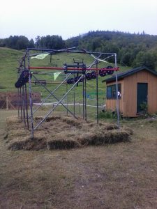 10565101_723097571076961_588377110894801877_n