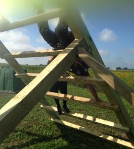 1544388_949458865079965_6525978574279080649_n