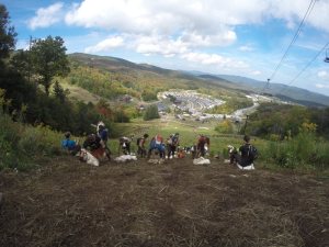 1235892_10203875516866628_1972975248125606645_n