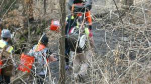 13472_10204875430499296_5104781044264845294_n