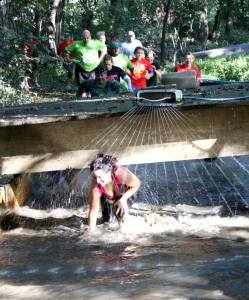 12009756_883965735015774_5157724150548012494_n