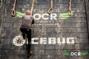 12045665_870148773098804_1899583123864347466_o