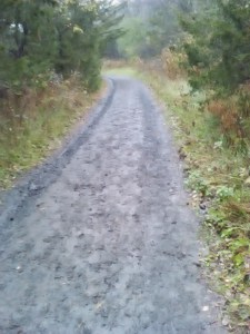 10308250_10207557162554436_2113841836647615624_n