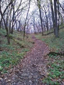 12249625_10207557160634388_933054116786703820_n