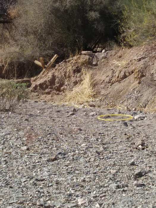 27459747_10214419270822854_3773406686670084918_n (1).jpg